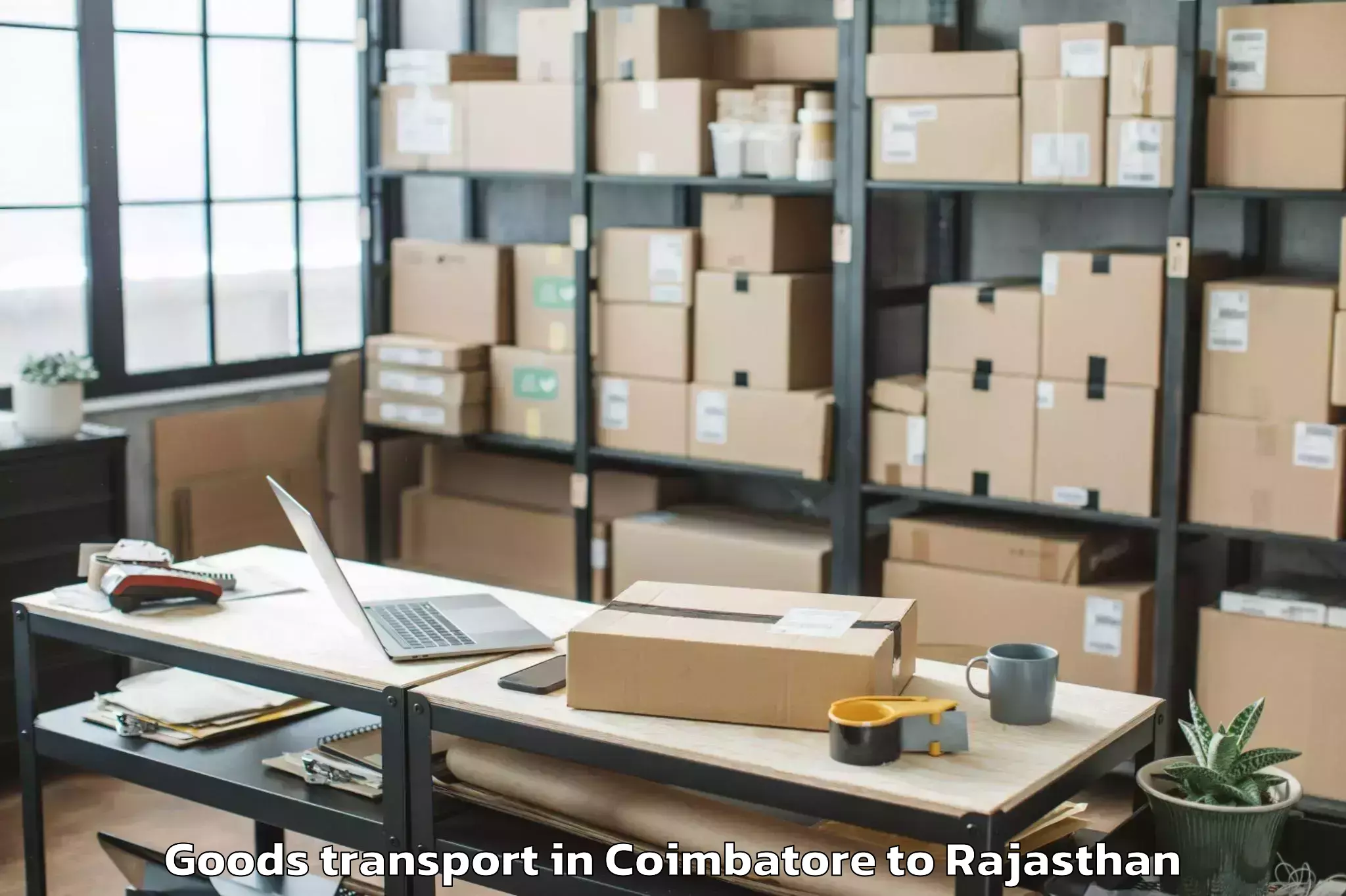 Book Your Coimbatore to Parvatsar Goods Transport Today